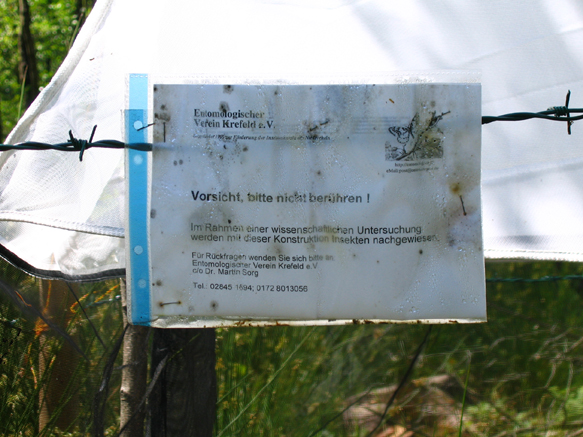 n_12_insek-zählen_2006.jpg